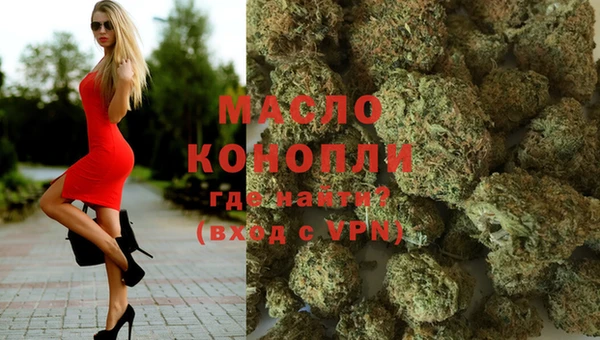 шишки Дмитровск