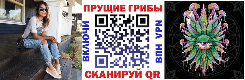 даркнет клад  Нефтекумск  Галлюциногенные грибы прущие грибы 