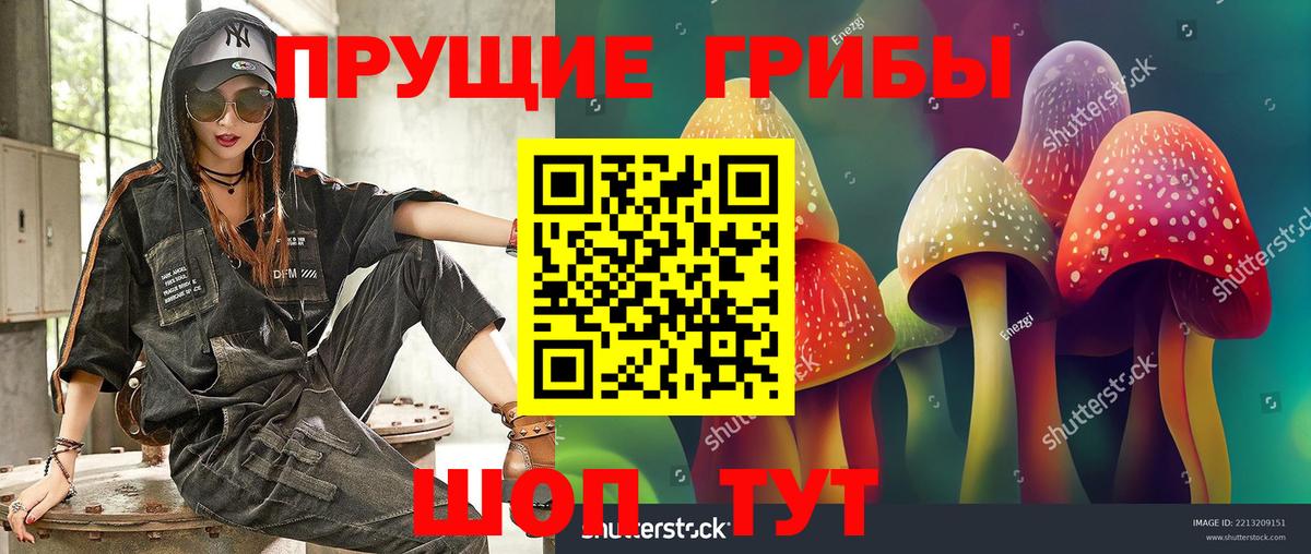 Псилоцибиновые грибы ЛСД  Вход с VPN  Нефтекумск 
